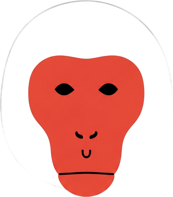 Nagano Monkey Park Tours